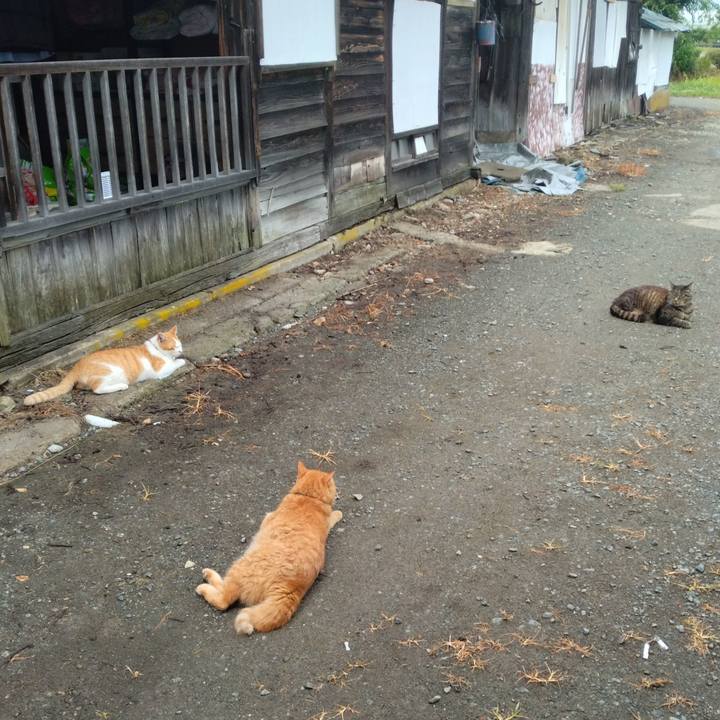 B041a7a1 060e 4789 9873 d6ac2fa347a7 1752530631907