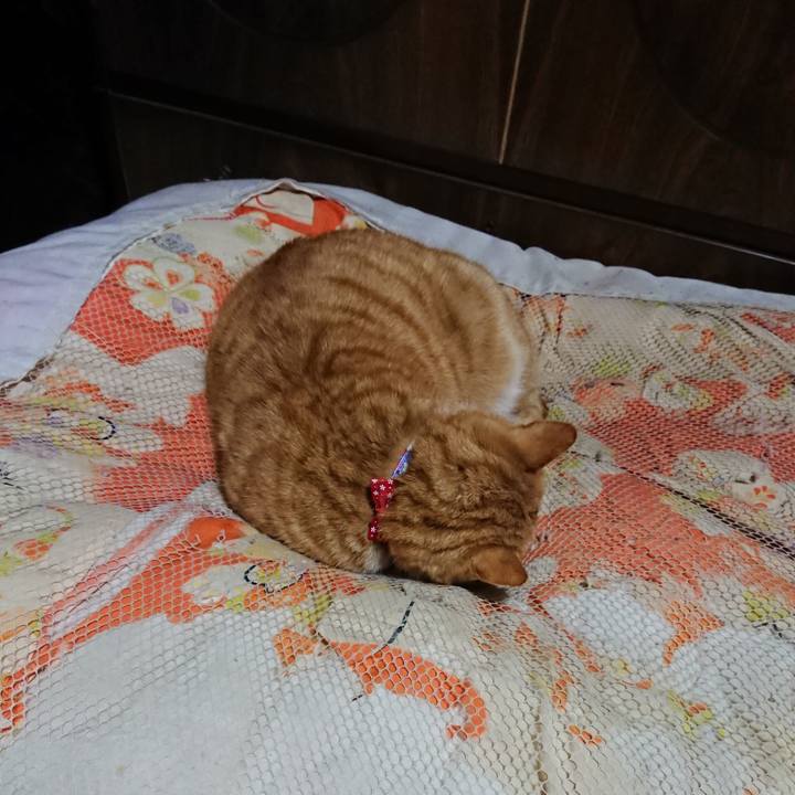 B041ca55 04ed 4d22 81b0 a8a9004d3166 1578053615144