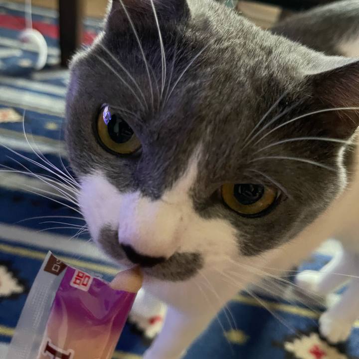 B041dd1c 7932 4794 ae30 8f9c79a3ca02 1662194011741