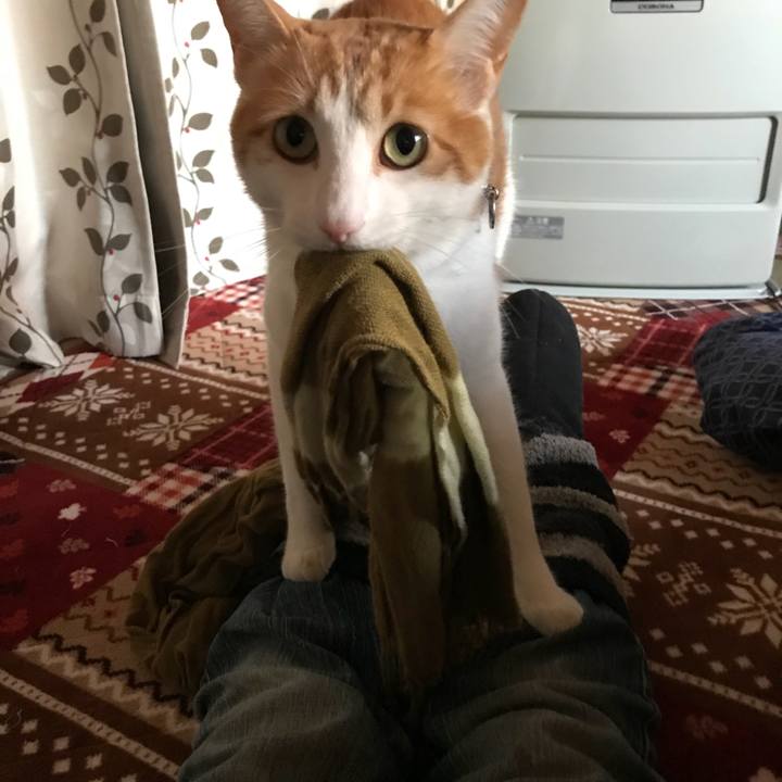 B042056b adb2 4053 88eb c9f92ce0d564 1510626135445