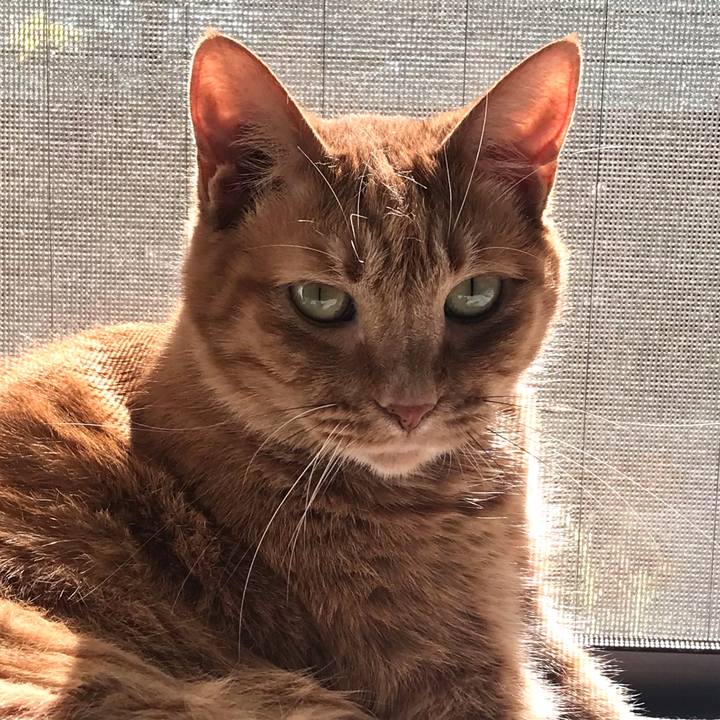 B0421341 db54 46e6 b114 5d61c777d8b1 1605924424564