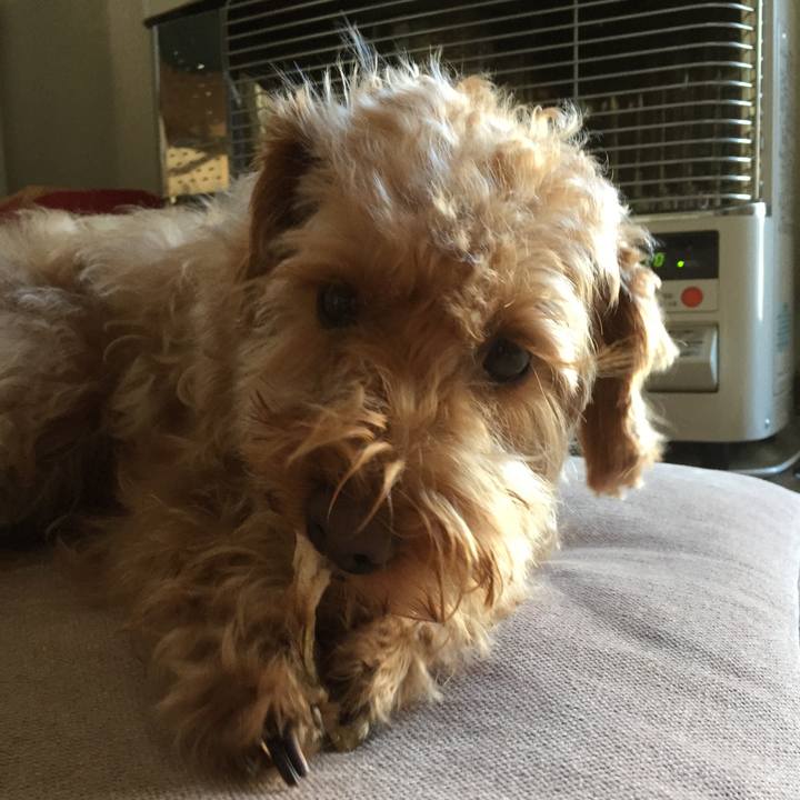 B04227c4 0c37 41a2 b153 522e0f41c9b6 1521585712688