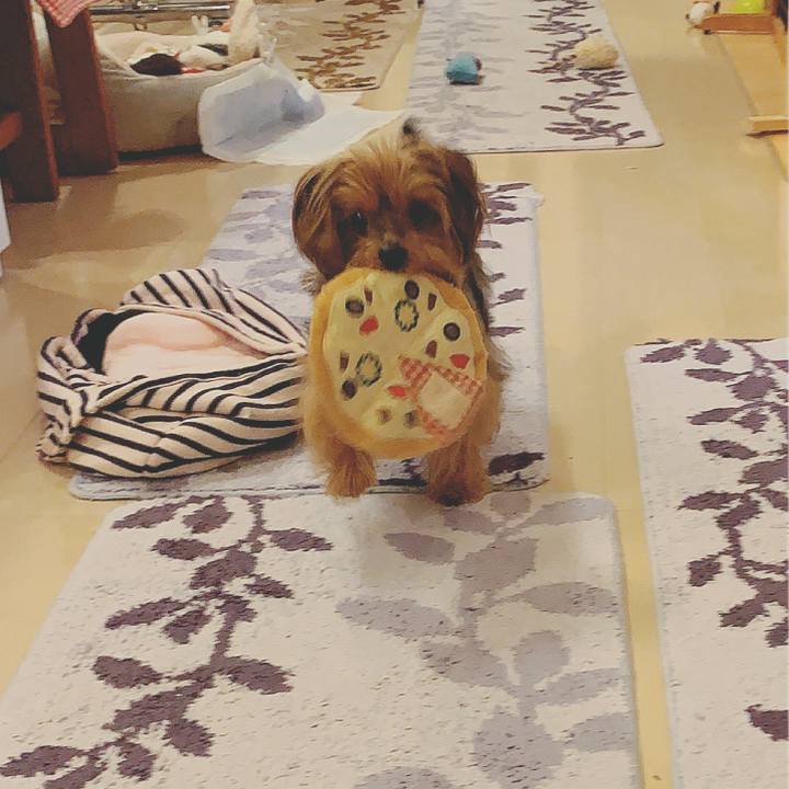 B0423245 ca29 441a ba31 0ad3dfbf77b0 1570539611659