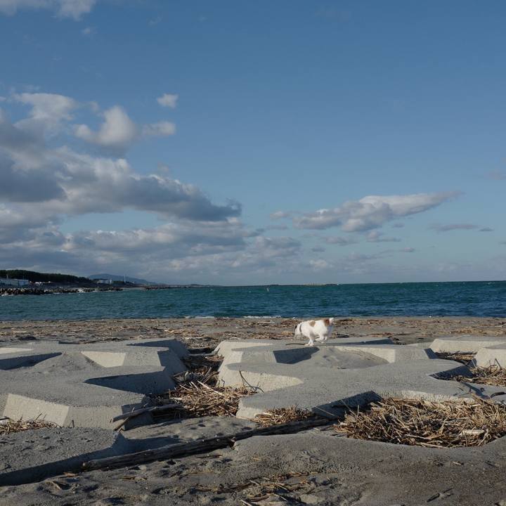 B0424f3d 3fa1 4eea 8bd1 23eaf1fb4c62 1572930436516