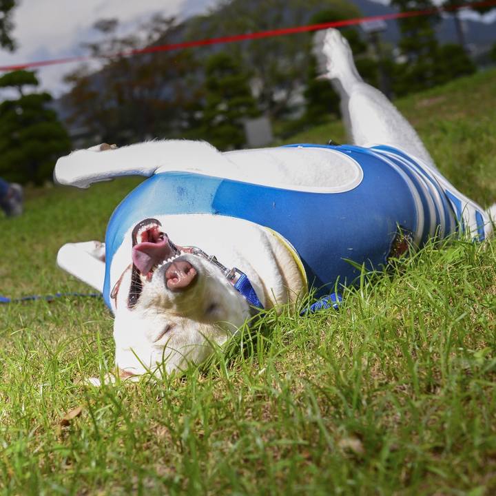 B0425b82 6f46 424a 9bb4 d3dcc875d04f 1537719328990