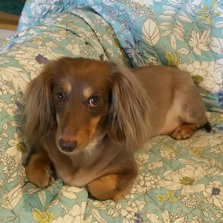 B042869b 9005 489c acfa 26c6e04ba38c 1531872738061