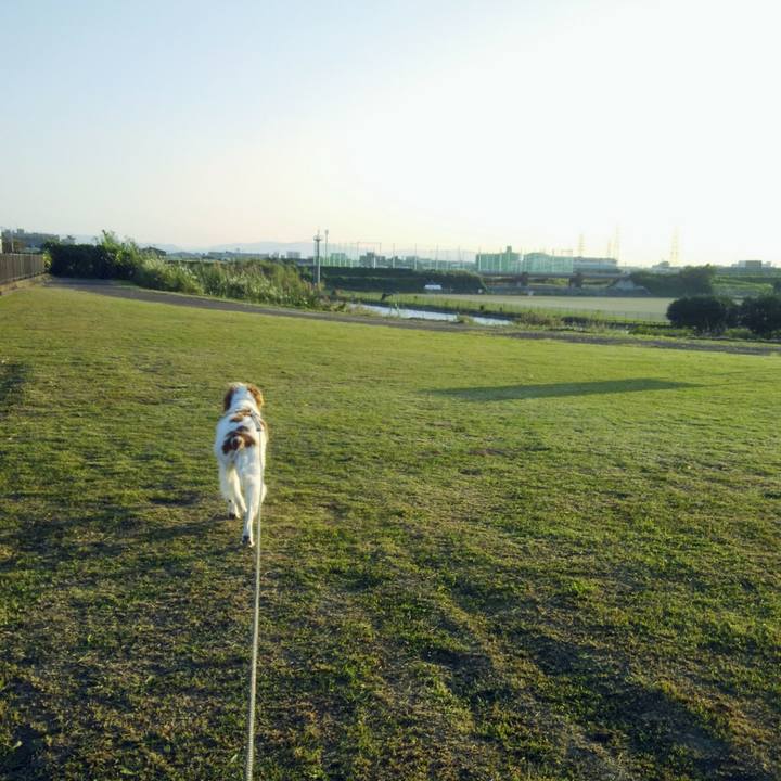 B0429719 4eae 4a34 a96a 44970c7827c1 1540110242228