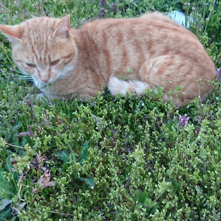 B042a072 7b39 4264 b529 57267100859d 1556011006139