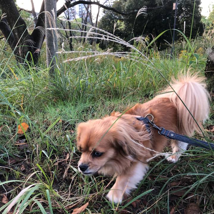 B042c128 8160 4c64 b49b 9c819dc0e206 1572559732943