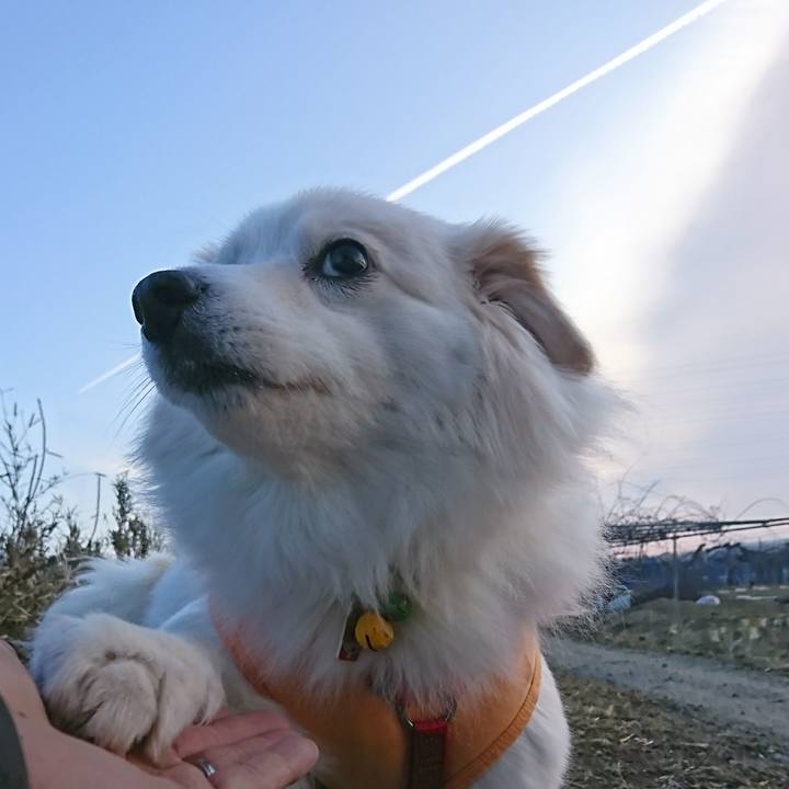 B0430782 1361 44fb 9ce5 2863fa21637b 1519512834578