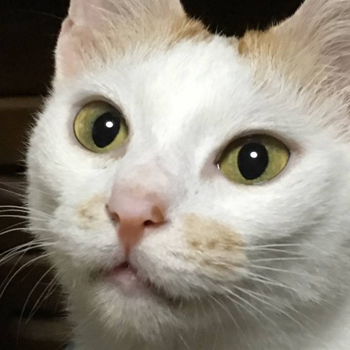 B0433684 1ac9 499a 8787 ba1a9759db82 1537565946085