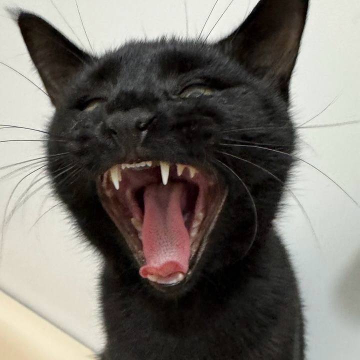 B0435f25 a8b5 4a2d 8800 4a8be57c7d4f 1732271506554