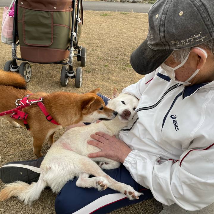 B04374d3 568c 4b95 8ba0 732e3ed7650a 1676799557765