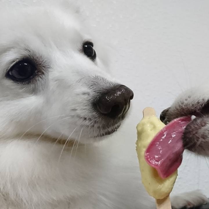 B043b553 fa66 4d3c 9445 2371b485f834 1559399439007