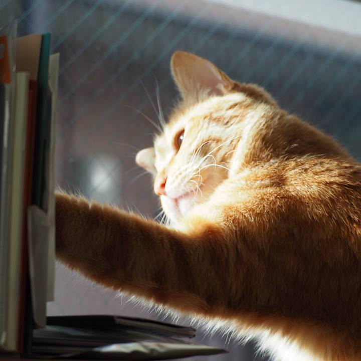 B043c5d8 a398 43e7 83a8 ecd6870f64df 1514939083810