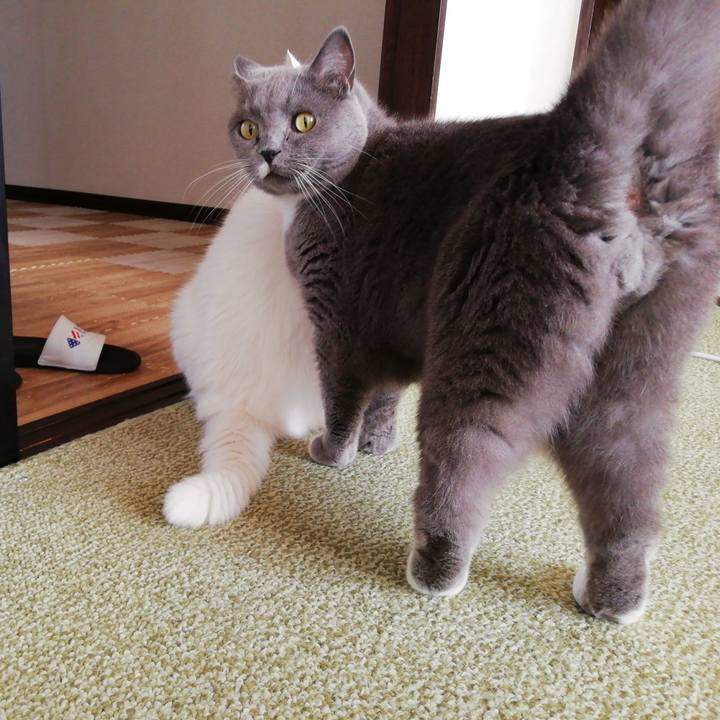 B043ccf9 baea 499c 81c3 1d1beb837f26 1697848130175