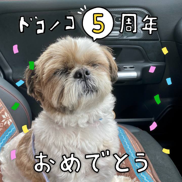 B043d619 f169 445c 9709 4562b040ba15 1622877613870