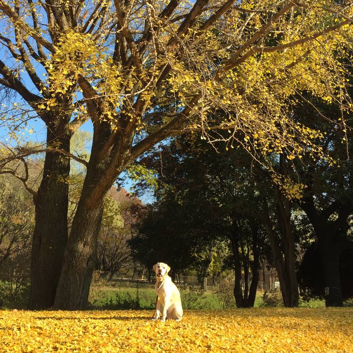 B043d7b8 25a0 41c2 b60b a3b0e8231789 1512644793211