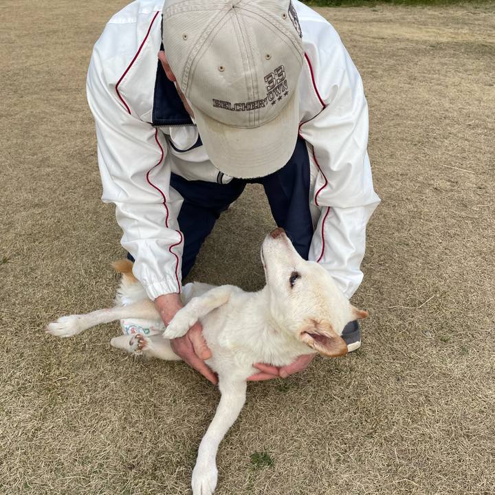 B043e055 bf42 4261 bbd3 37b75f6a770f 1677666933849