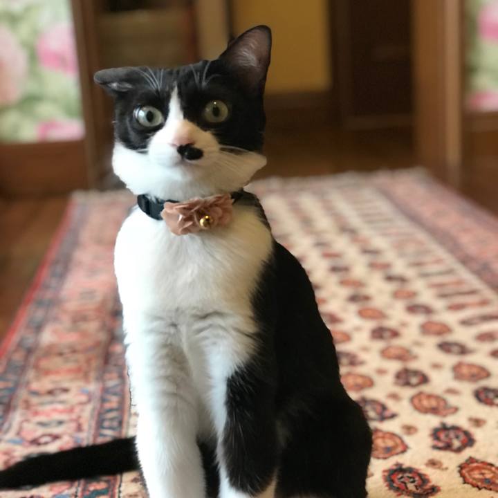 B044067d fc23 4f86 b2d6 5cb532e9365b 1519262169478