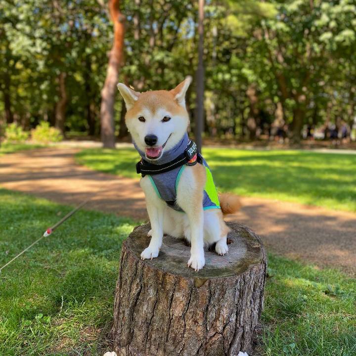 B0449311 9e15 4596 b620 2dbe49309c98 1692708832139