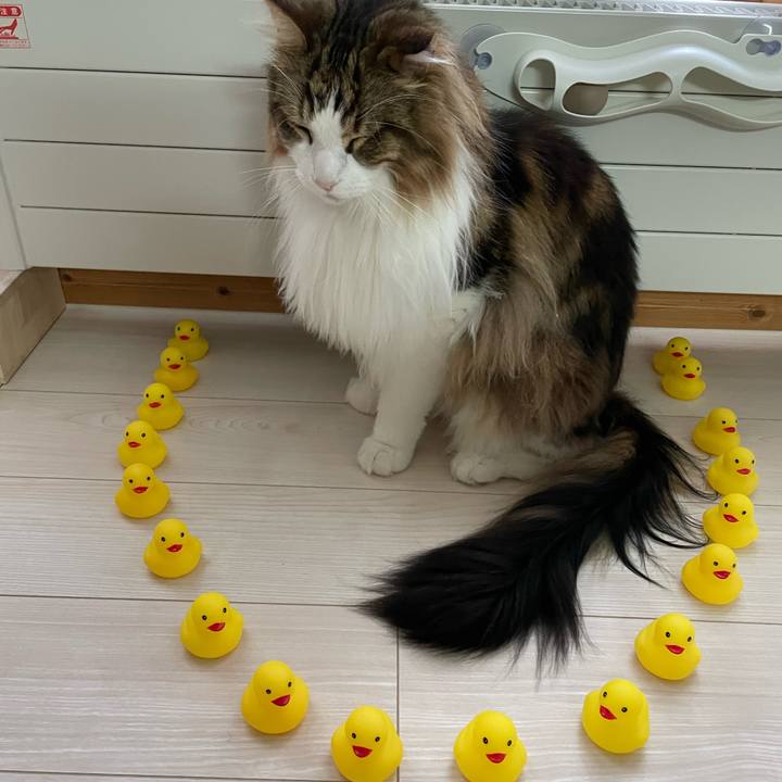 B044a3cb b25b 43a4 a72a 95d9ba8c6c14 1685150492409