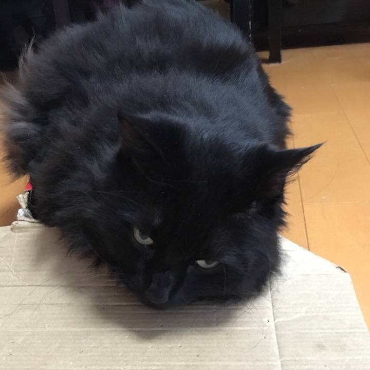 B044ab0e d34d 49cc 80a0 1ce6cf96a6e1 1542787268802