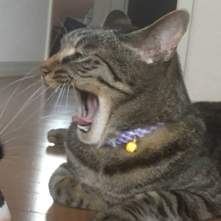 B044ddab 5d30 4390 8241 1086e9f0df0b 1559488743316