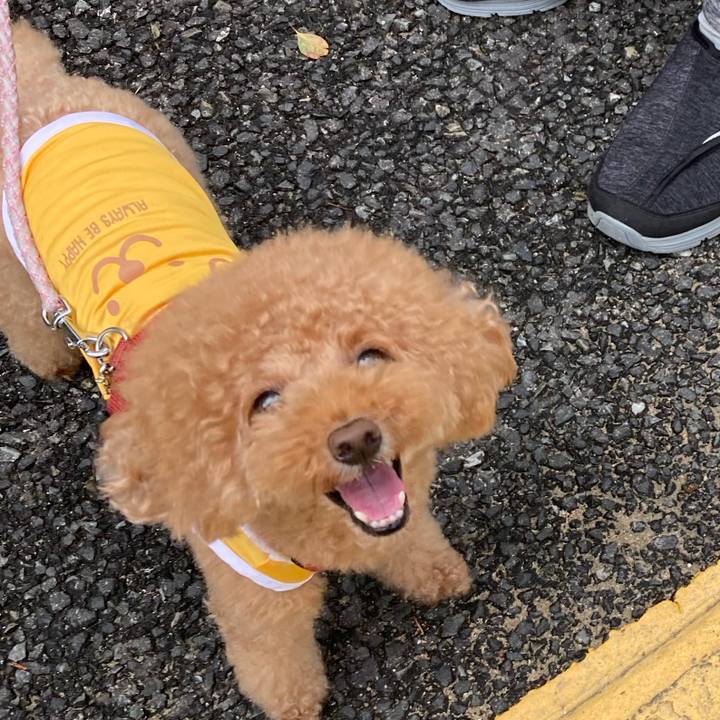 B044fc01 7b0d 4237 a946 8ed52b503d49 1660736880384