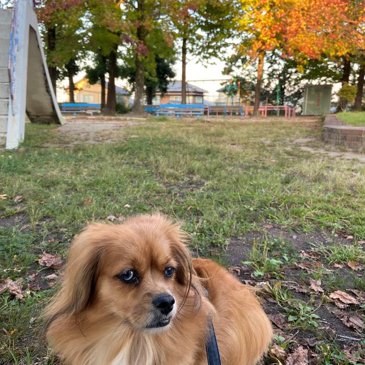 B0450535 fb63 4509 9e36 c04abbe8e7d3 1634334497152