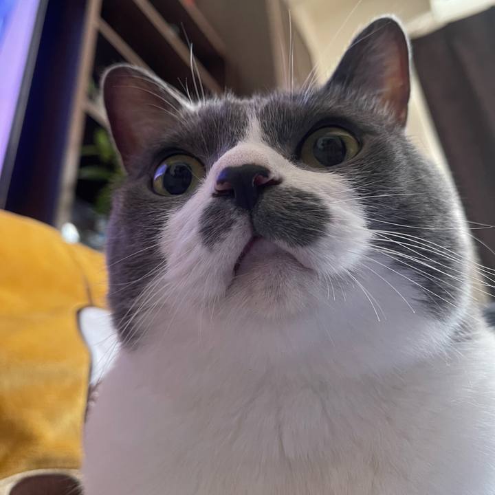 B0451980 55fe 4e94 a1a0 346b3ec2f544 1754691779715