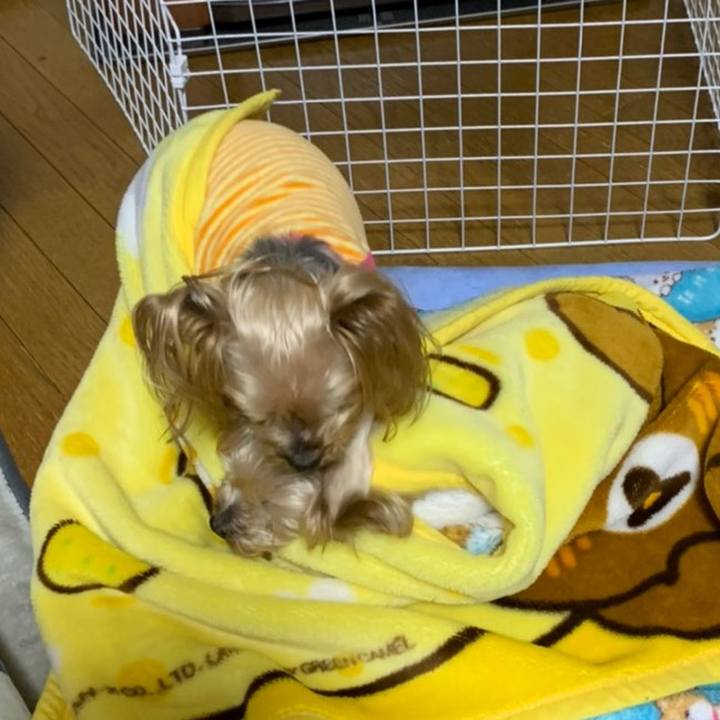 B04522f3 777d 468a 8b45 8874fadc3946 1610615502923