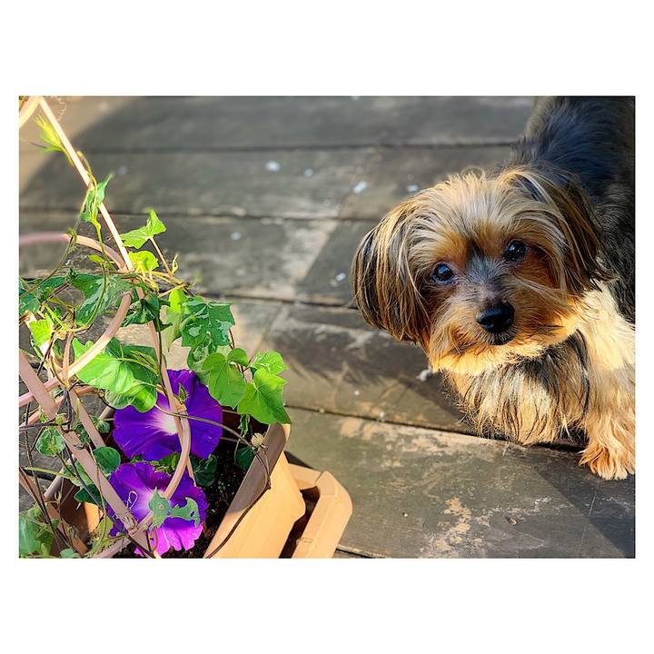 B0456a61 c8df 4879 99db a03c6bcca38c 1569536750892