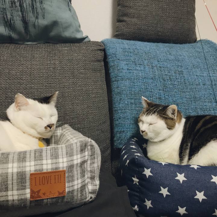 B0459a0a 9b7b 4a8a 9408 5f7a979a2630 1524562583371