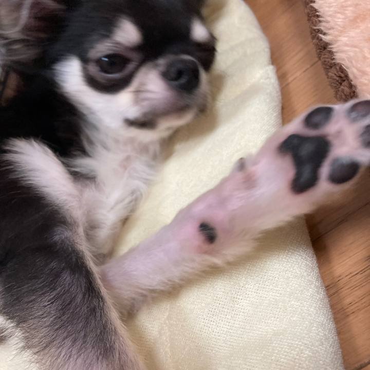 B045b497 54e3 4b94 adce cb530b0220a3 1600036397740