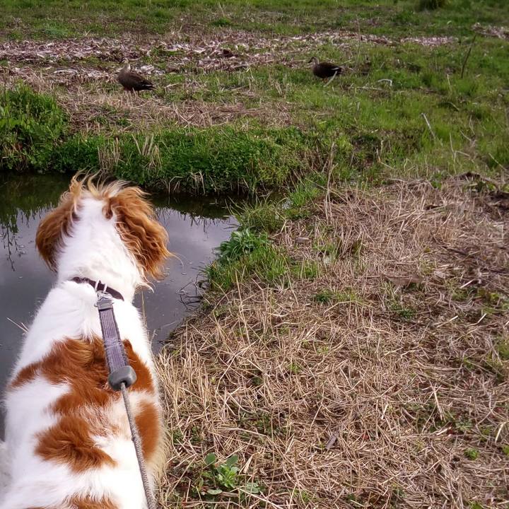 B045ee64 aa3f 4139 8255 b54b710abdcd 1521770157984