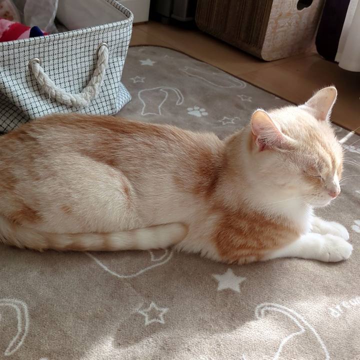 B0462583 1828 48a4 8508 d39d676b586e 1728868449667