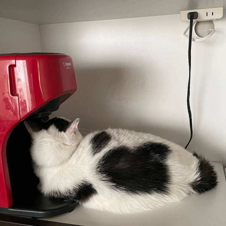 B04678ea 5edf 4ae2 9312 a8337d462892 1659583933490