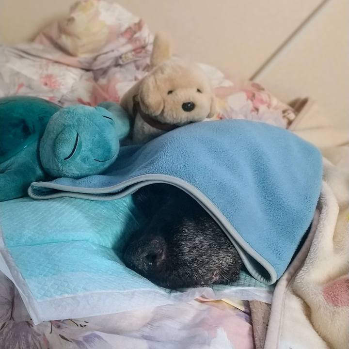 B0467c86 f611 48d6 aede 6f579a708a6b 1735082317451