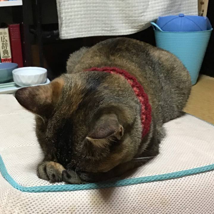 B046acdc acf1 4983 a071 9434c21c58a5 1598176764329