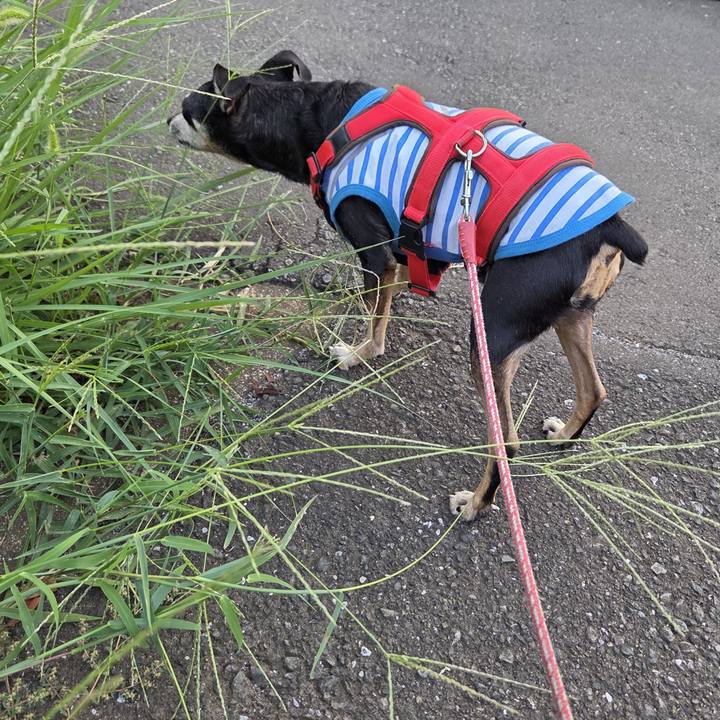 B046b607 c552 4e23 8c28 62cbc31bcac1 1757972440132