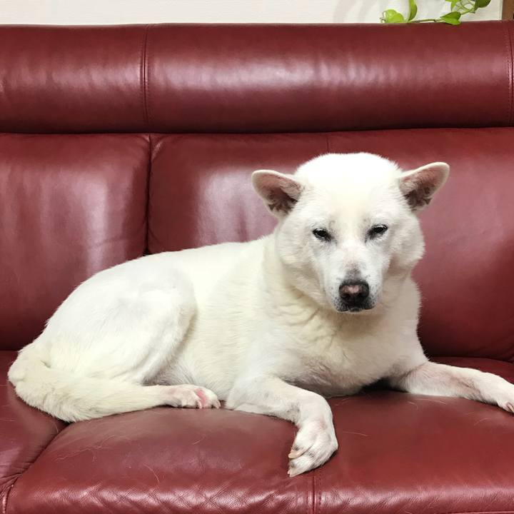 B046dbcb 570f 47ed add1 17633df4e762 1525784858587