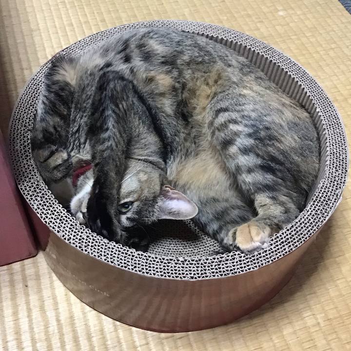 B046f174 5f6c 4587 a4e2 62c5e70e59f5 1599878144949