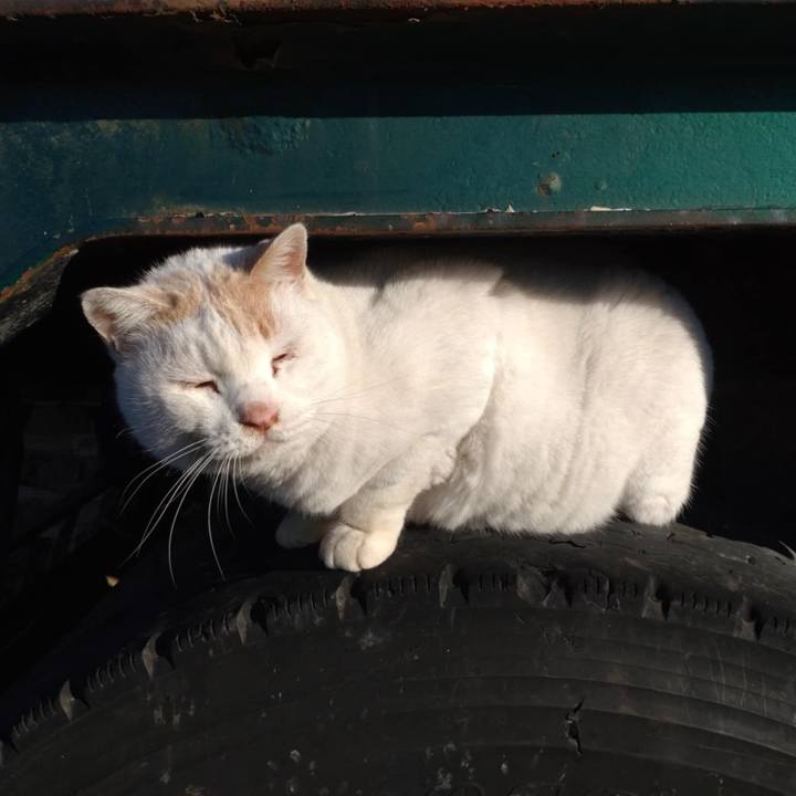 B0470319 8170 44a1 b968 c2592b7e74cc 1732841499822