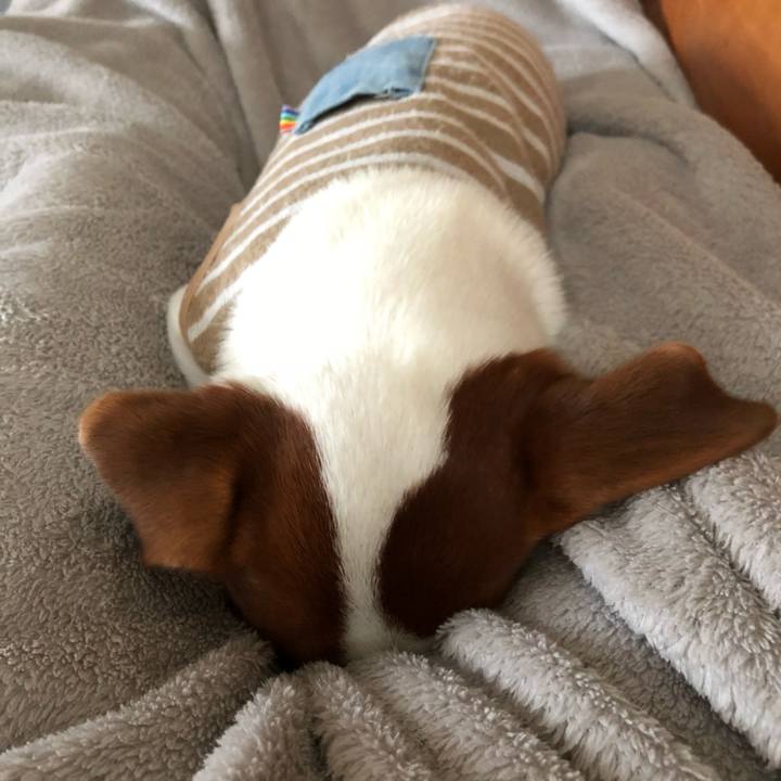 B04708e5 36f8 41a3 bb5f 8089f184260d 1539245799685