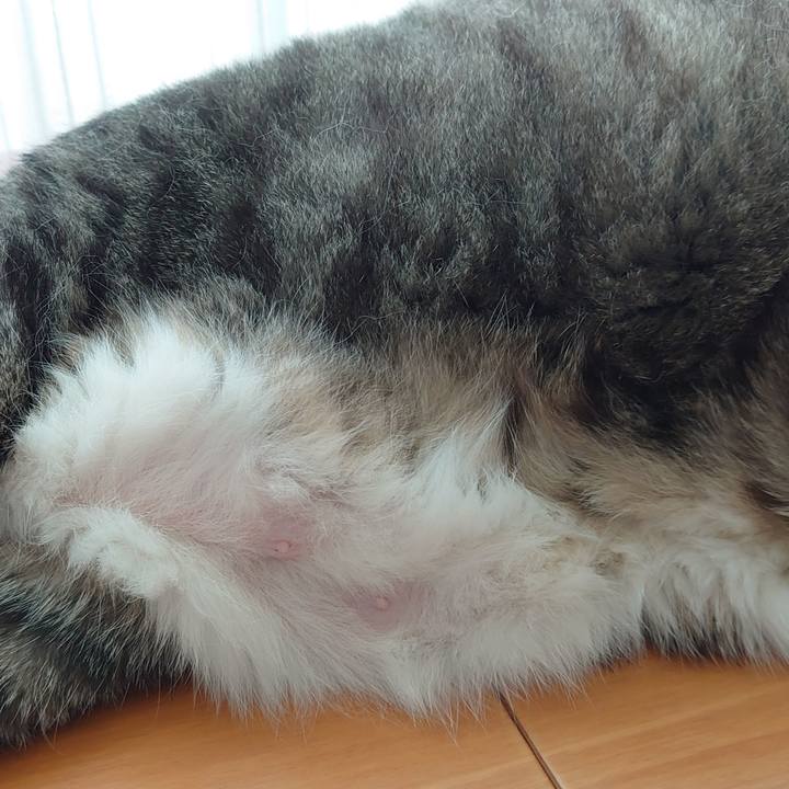 B0470eda 00e7 4614 9ca7 da00d67a9710 1720916524743