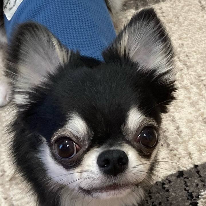 B04723b5 c773 4670 9ce4 5331d2944735 1618699484105