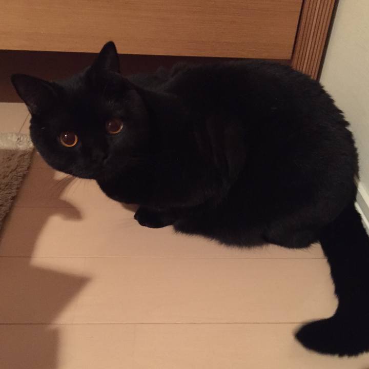 B0473821 d9f5 4689 8f46 131c76ed859a 1509970717000