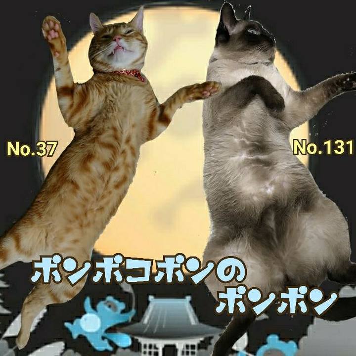 B047621b 53db 4833 971b d7d521cef540 1527942098271