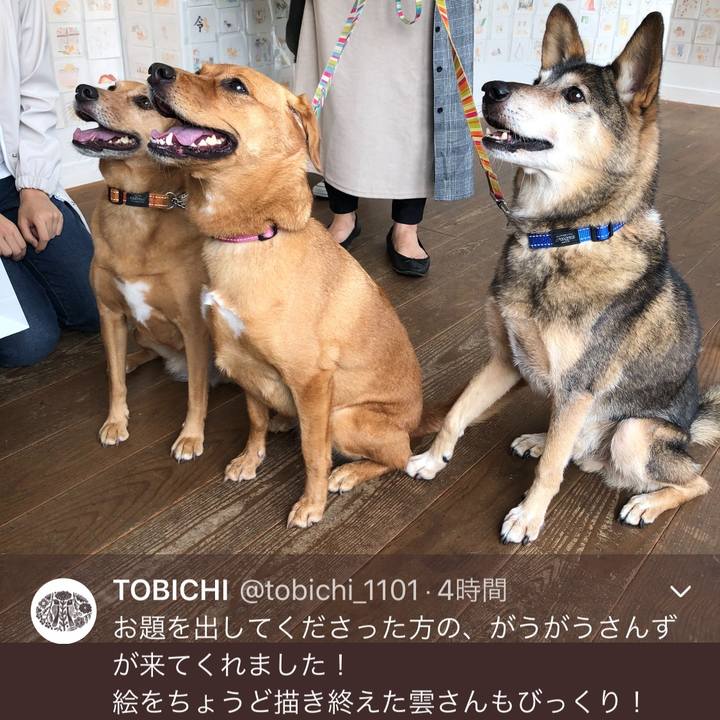 B047848c 43e9 4542 aed1 922b5d6eca25 1572173185382